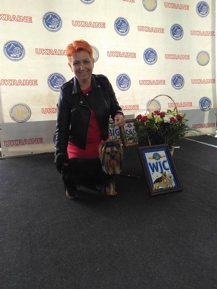  Europejska Wystawa Psów Rasowych w Kijowie
 World Kennel Union 